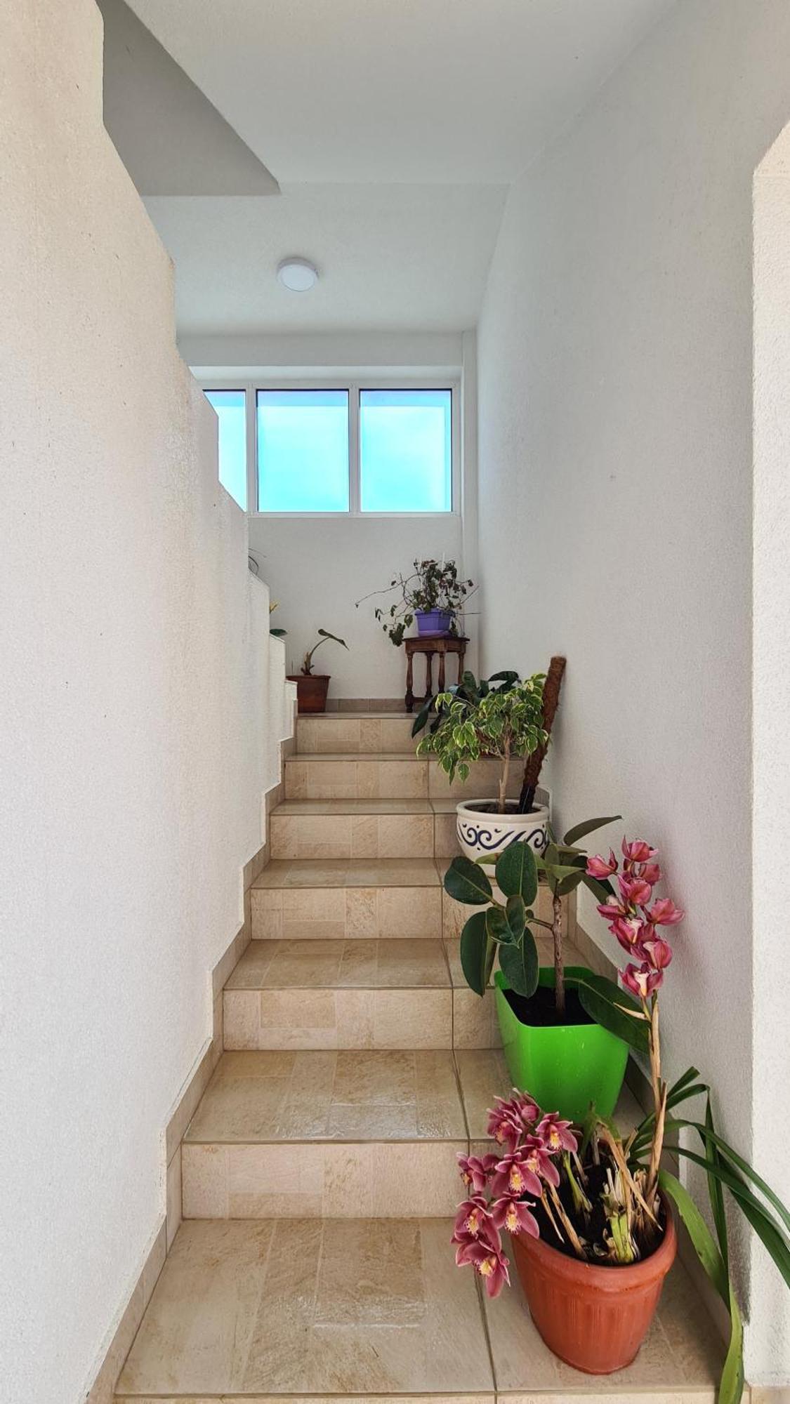 Apartments Mare Ulcinj Exterior foto